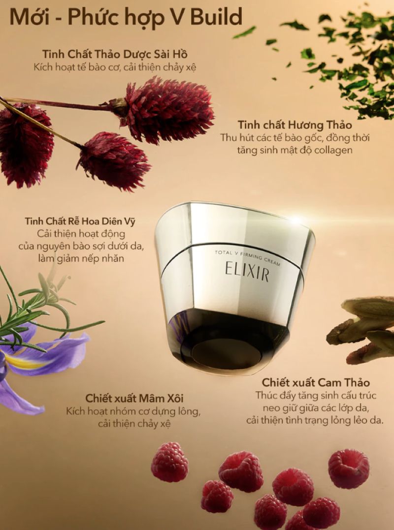 Kem Dưỡng Ngăn Ngừa Lão Hoá Elixir Total V Firming Cream 50g