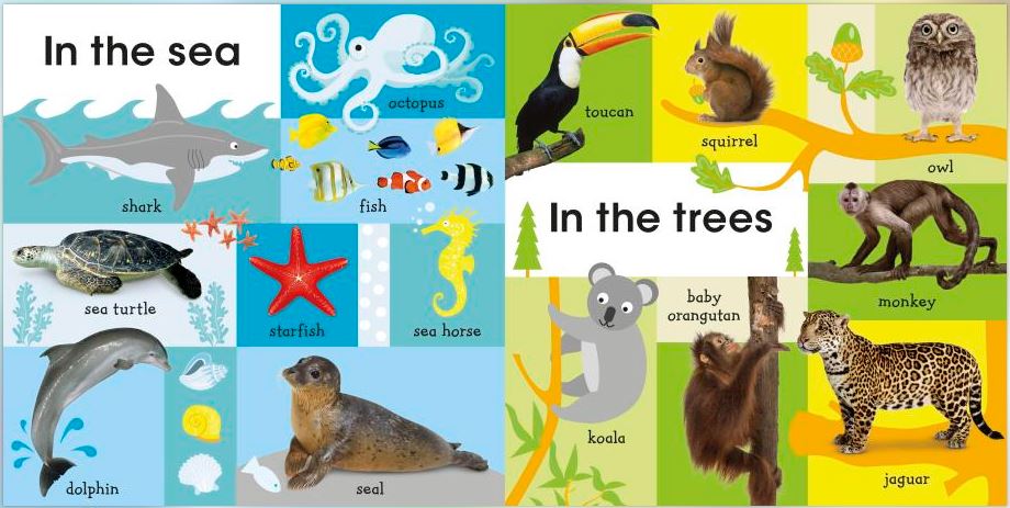 DK - 100 First Animals (Cuốn sách hoàn hảo giúp bé làm quen với thế giới động vật)