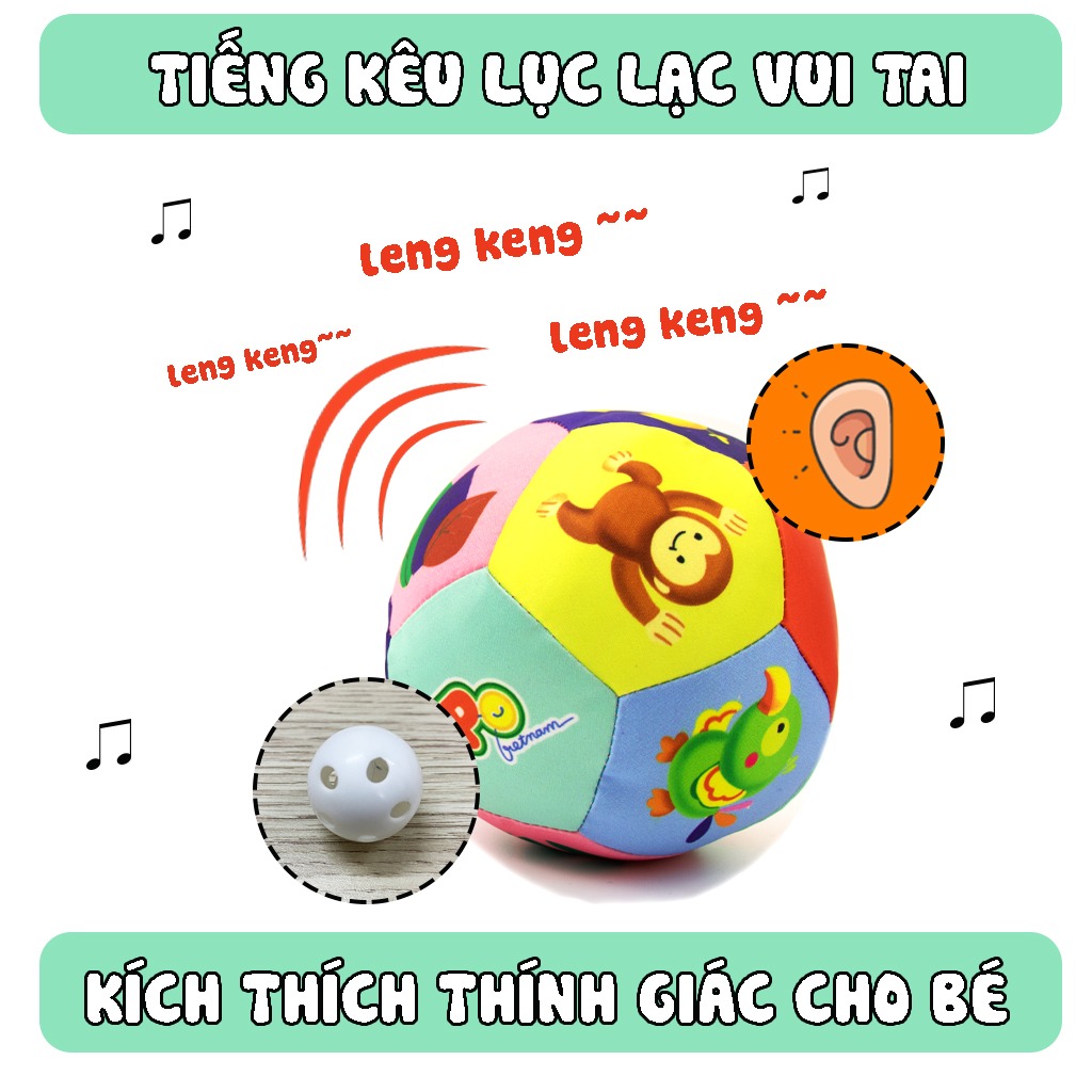 Bóng vải 12 múi - Pipo