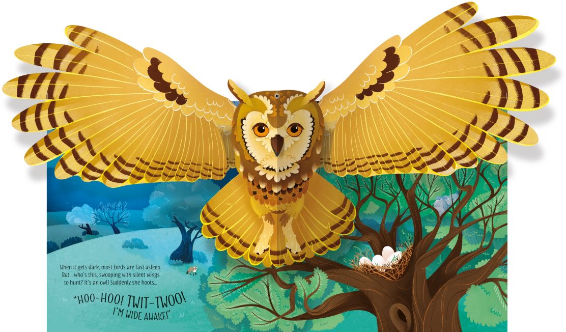 Usborne Pop up: Birds