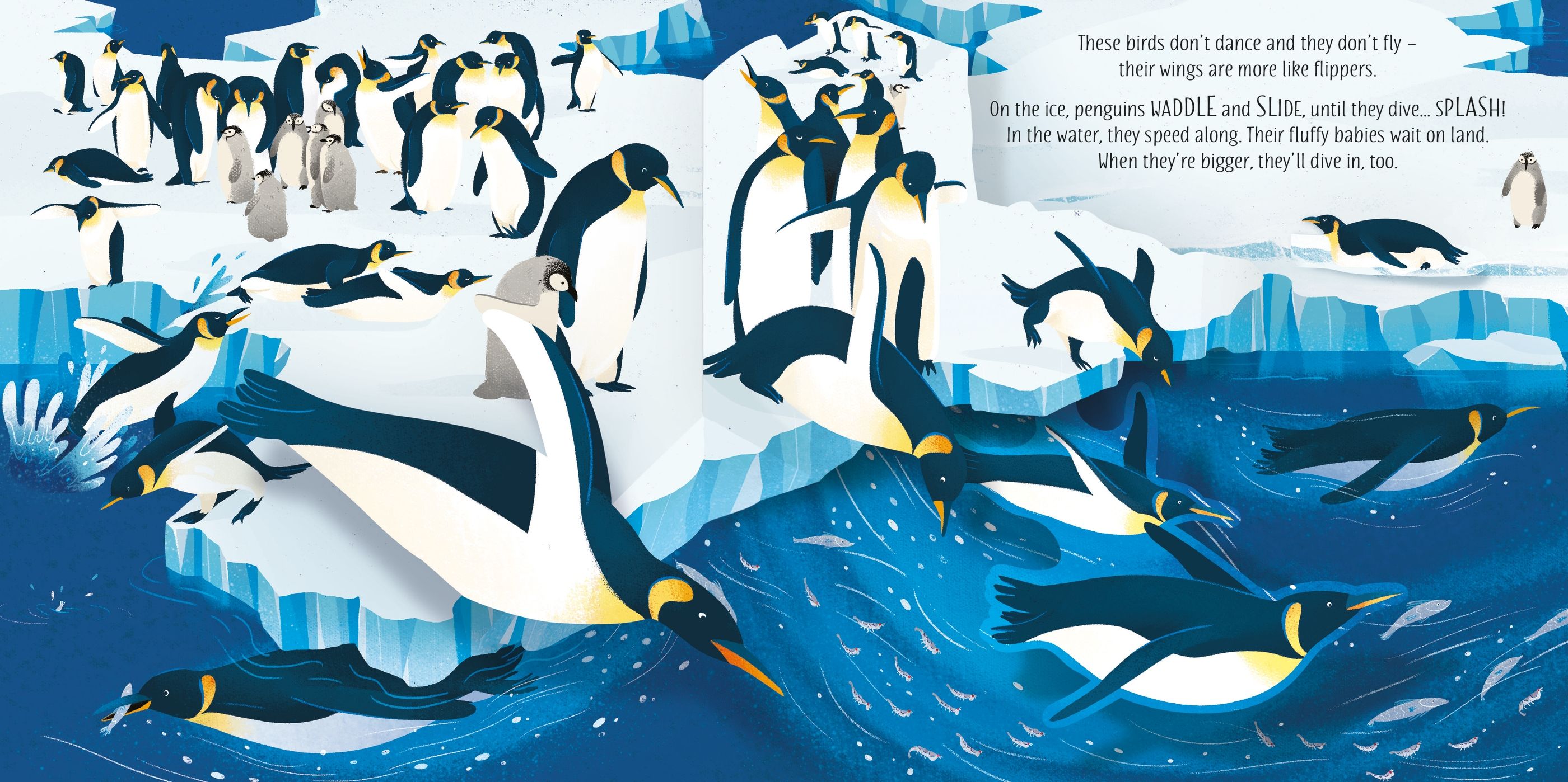 Usborne Pop up: Birds