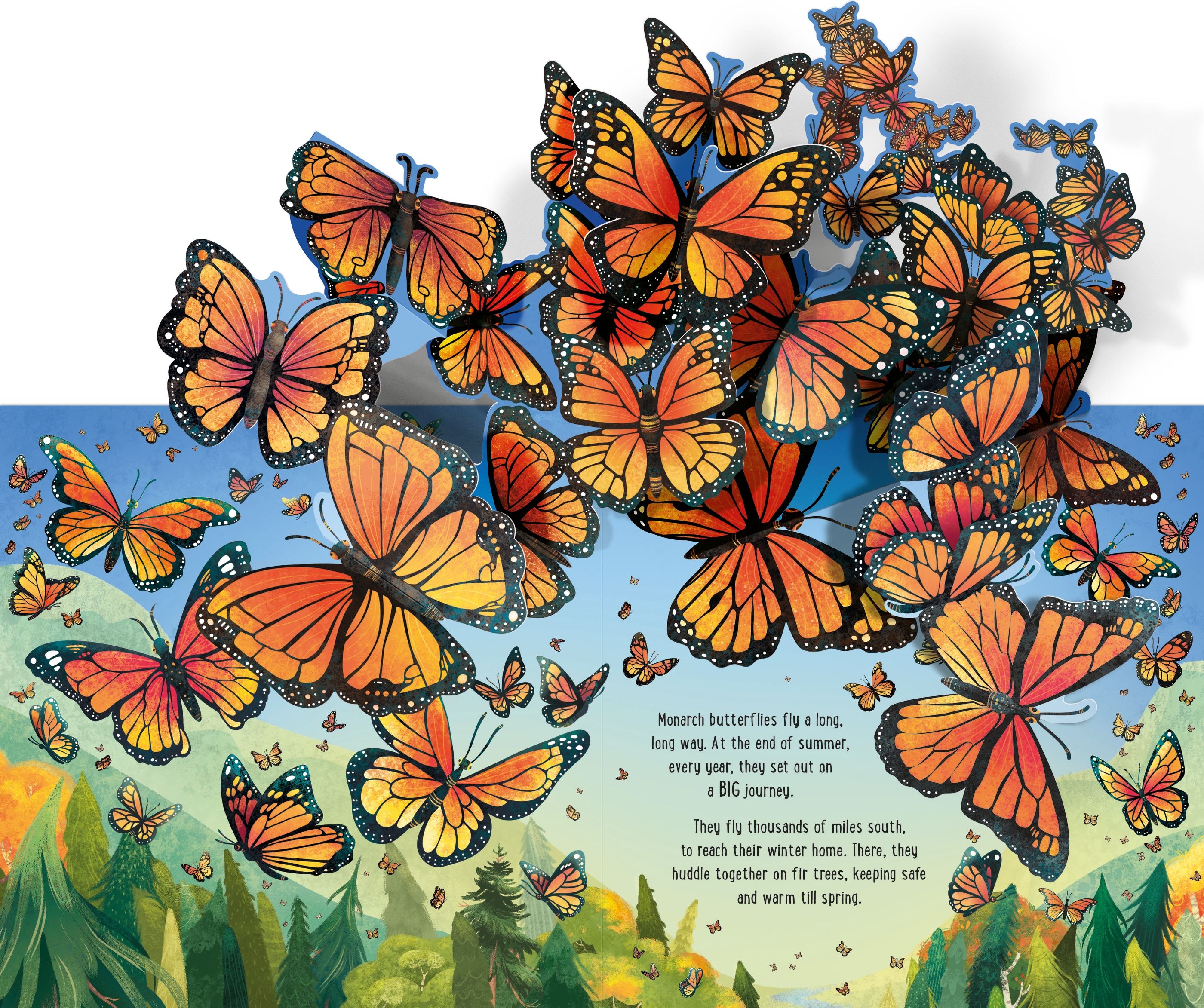 Usborne Pop up: Butterflies