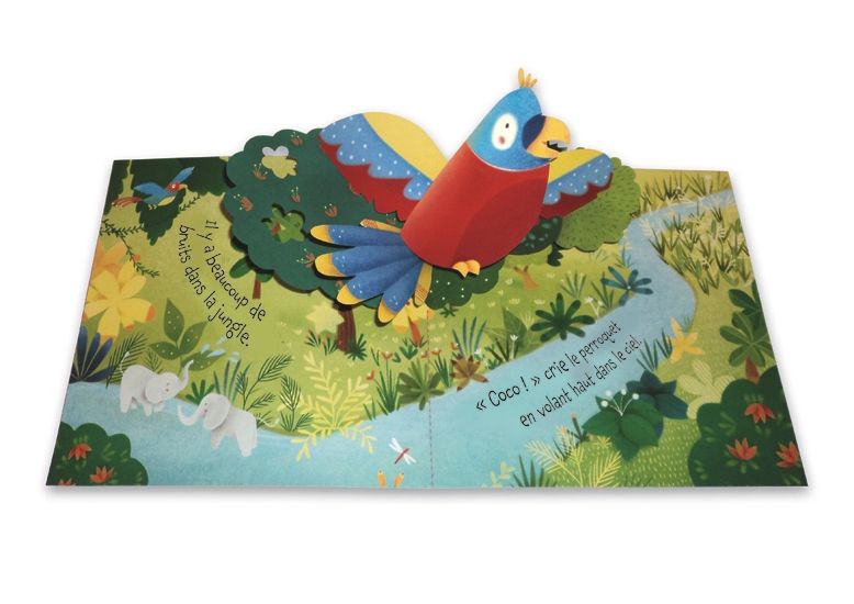 Usborne Pop up: Jungle