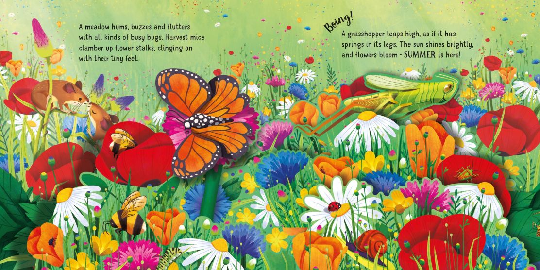 Usborne Pop up: Seasons