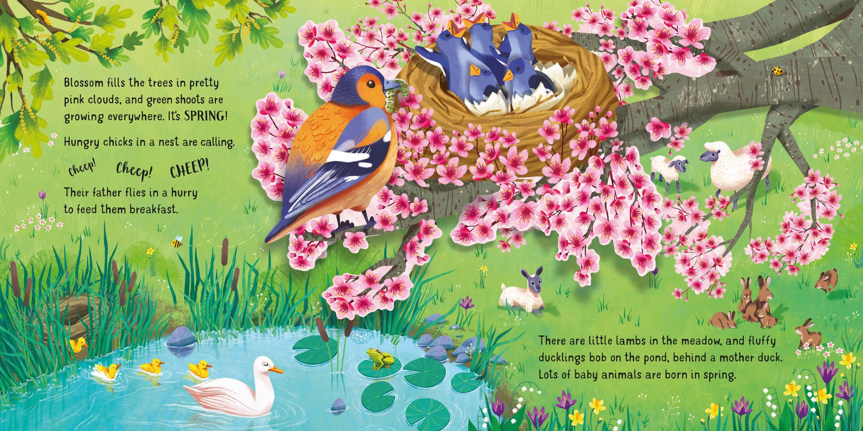 Usborne Pop up: Seasons