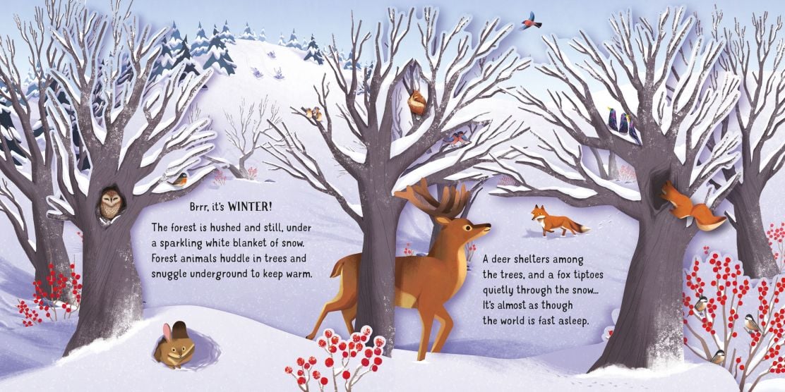 Usborne Pop up: Seasons