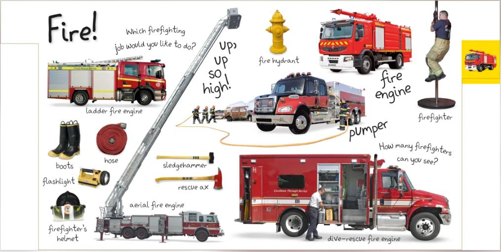 DK - Tabbed Board Books My First Trucks and Diggers (Khám phá thế giới xe cộ)