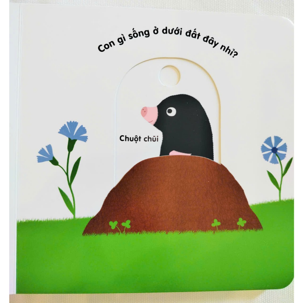 Sách chuyển động thông minh đa ngữ Việt-Anh-Pháp