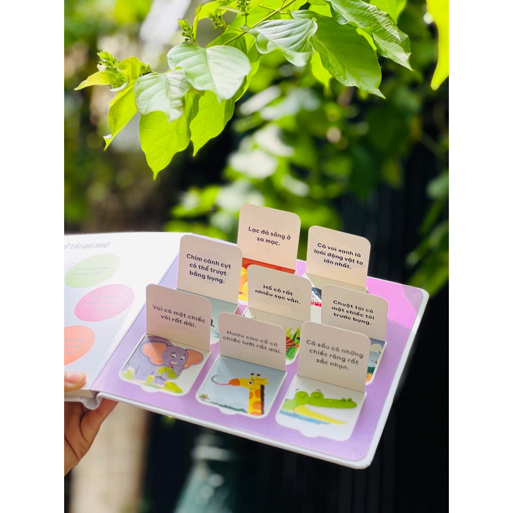 Sách Tương Tác Lật Mở Khám Phá - Lift The Flap (Cho bé từ 2 - 6 tuổi) – Đinh Tị Books