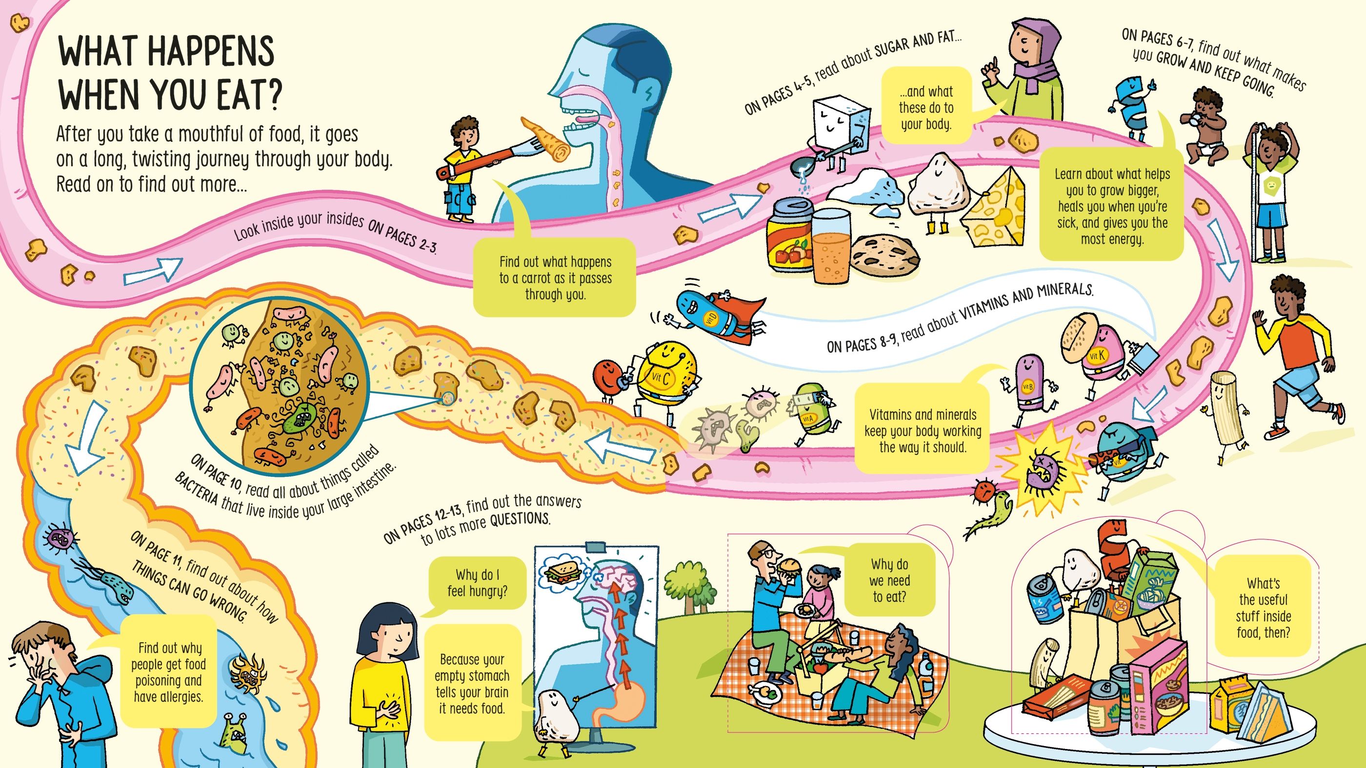 Usborne - What happens when you eat (Khám phá hành trình kỳ diệu của thức ăn trong cơ thể)