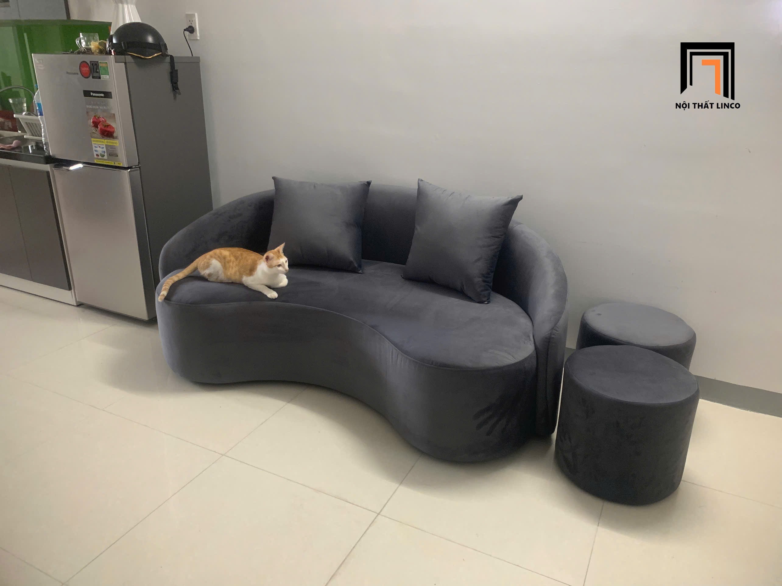 sofa cong