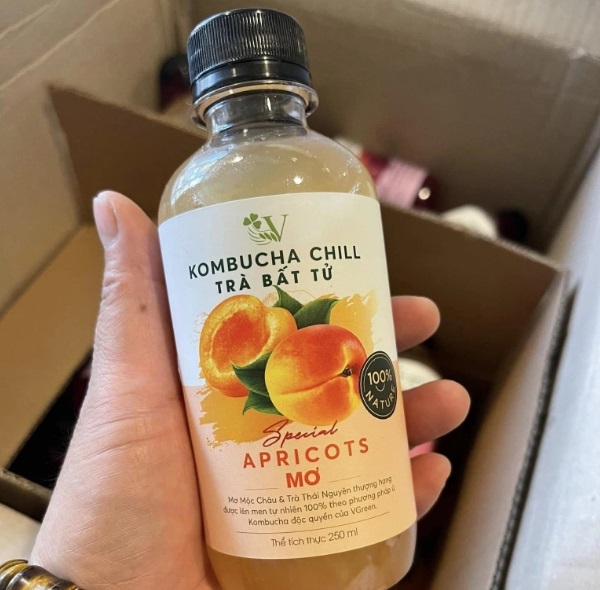 Kombucha chill mơ 250ml