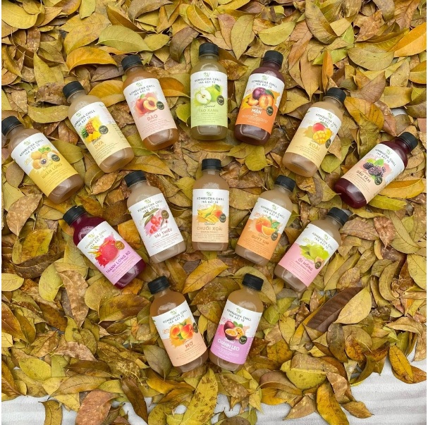 Kombucha chill vải 250ml