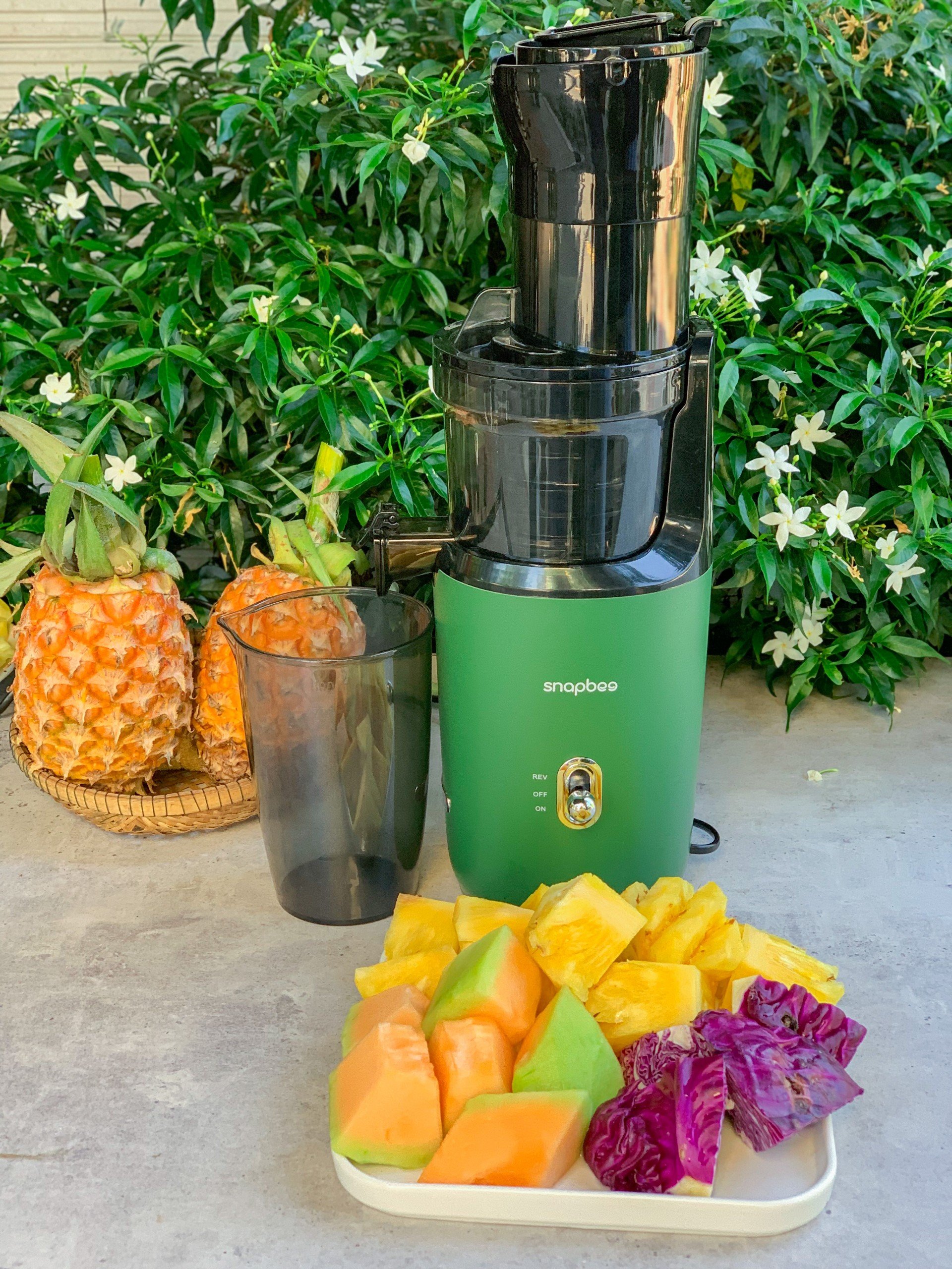 Máy Ép Chậm Snapbee S300 Elite