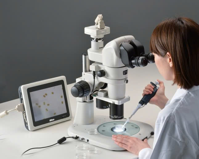 Lựa Chọn Kính Hiển Vi Trong Phòng Lab IVF: Hướng Dẫn Từ Thiết Bị Tâm Phát Đến Hiệu Quả Thao Tác