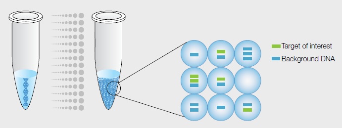 Digital PCR: Công Nghệ Đột Phá trong Nghiên Cứu và Chẩn Đoán, Đồng Hành Cùng Tâm Phát Medical