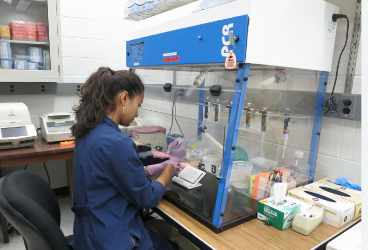 TÁCH CHIẾT ARN TỪ MÁU NGOẠI VI/ TỦY XƯƠNG (RNA ISOLATION)