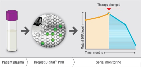 Ứng Dụng Sinh Thiết Lỏng Kết Hợp Digital PCR và Giải Trình Tự Thế Hệ Mới (NGS) trong Chẩn Đoán và Điều Trị Ung Thư tại Việt Nam