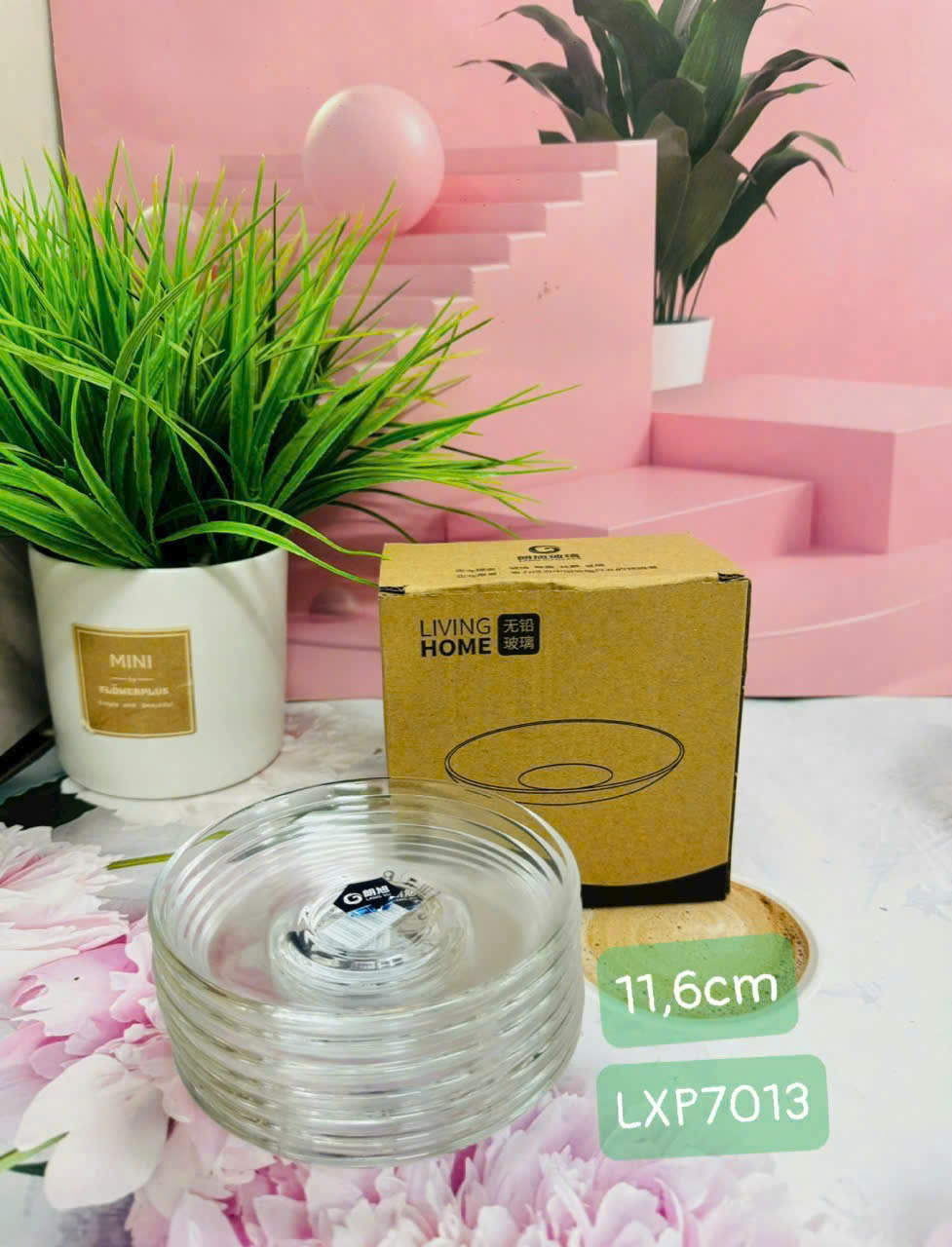 ĐĨA LÓT LY, CỐC