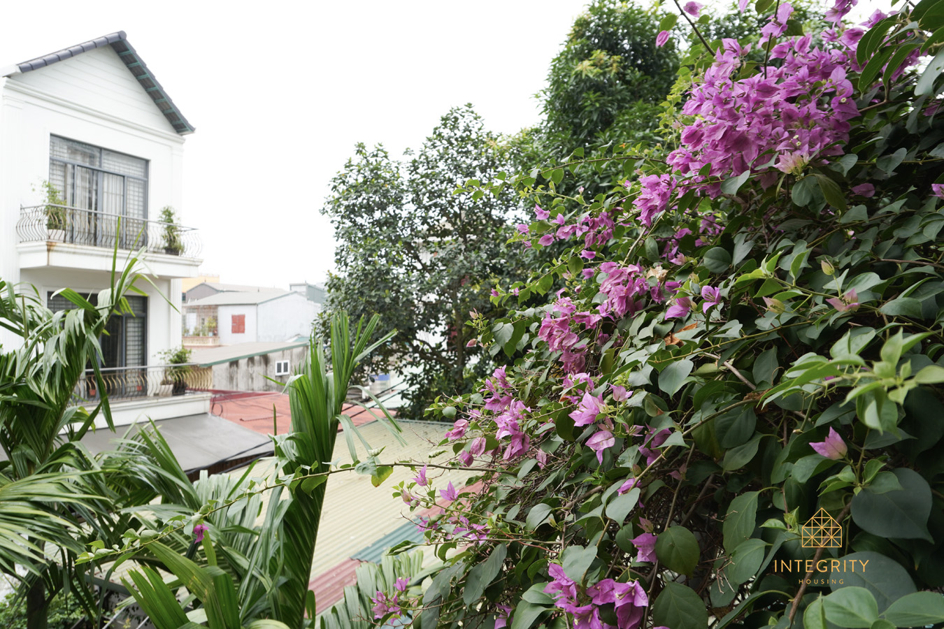 Cho thuê phòng Vivuhome, Long Biên