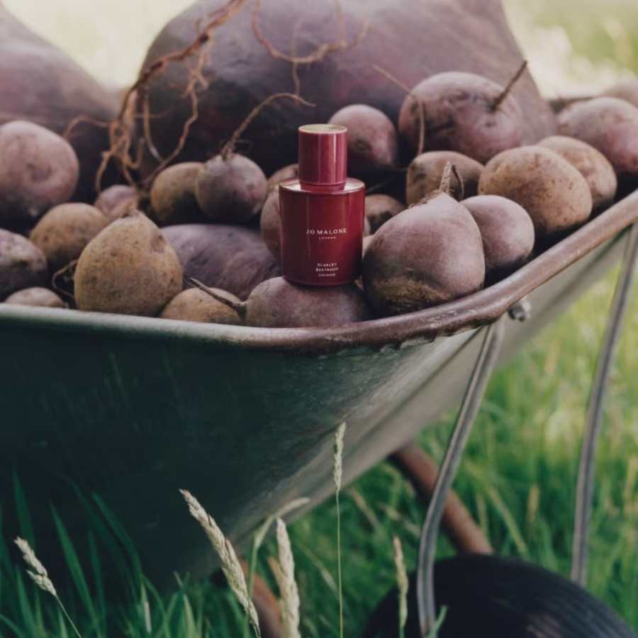 Nước Hoa Jo Malone Scarlet Beetroot Cologne 30ml – Hương Củ Cải Đỏ Độc Đáo, Tươi Mới Và Tinh Tế