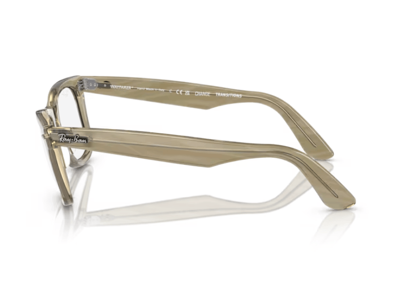 Kính mát RAYBAN đổi màu 0RB2140F 138731 52 chính hãng ( Khung và mắt đổi màu)