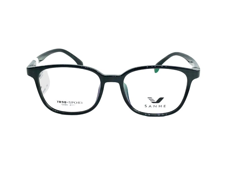 Gọng SANHE 24385 C5-10 chính hãng