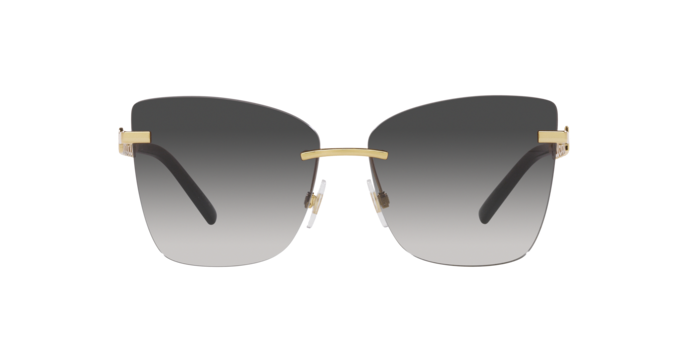 Kính mát DOLCE&GABBANA DG2289 02 8G chính hãng