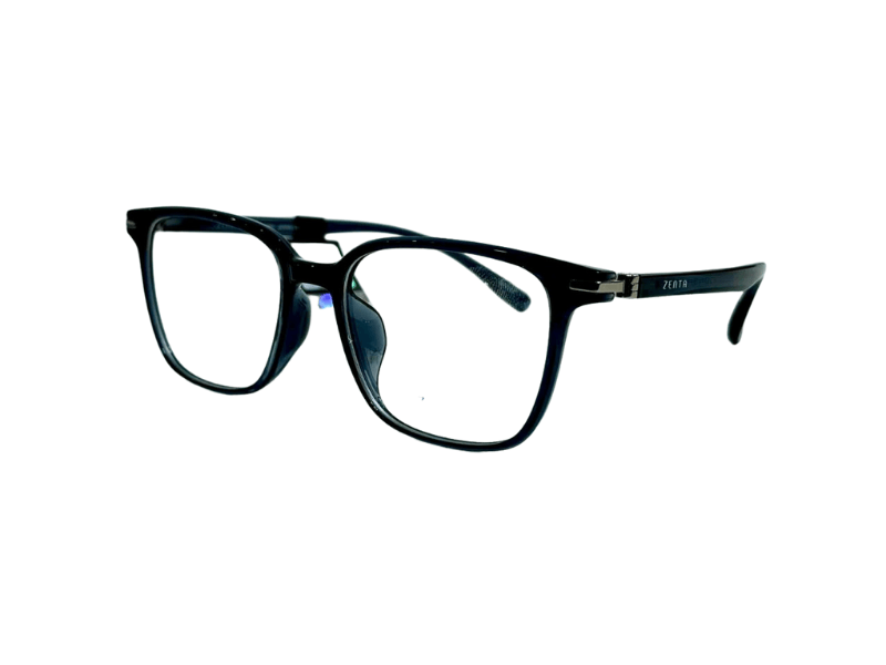 Gọng ZENTA DP25-A-ZT8003 53 C17A chính hãng