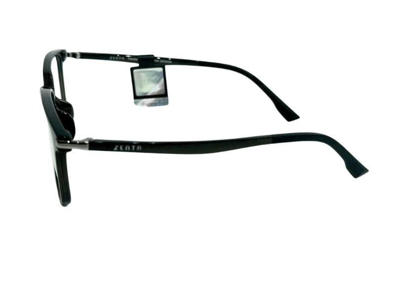 Gọng ZENTA DP25-A-ZT8001 54 C19A chính hãng