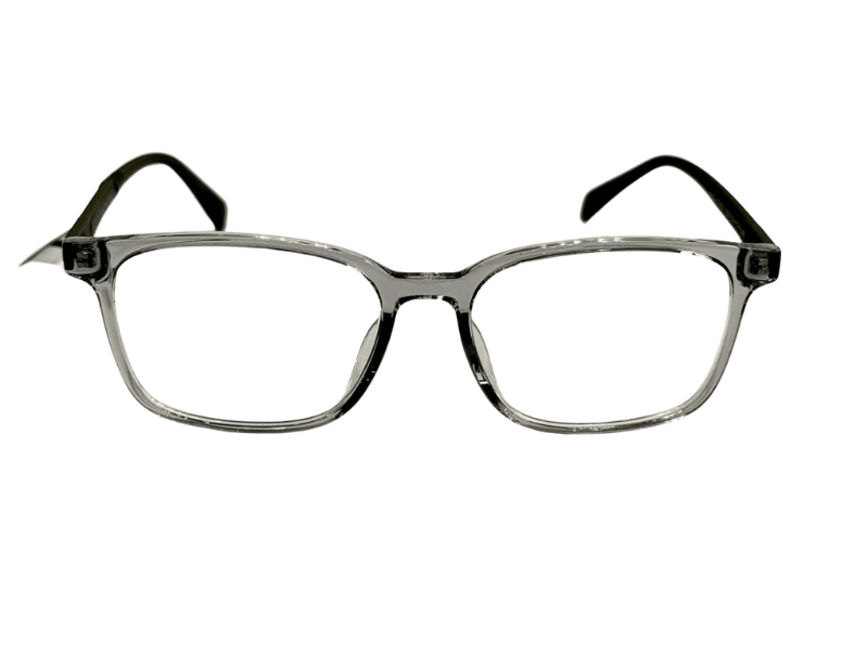 Gọng ZENTA DP25-A-ZT8009 C13B 53 chính hãng