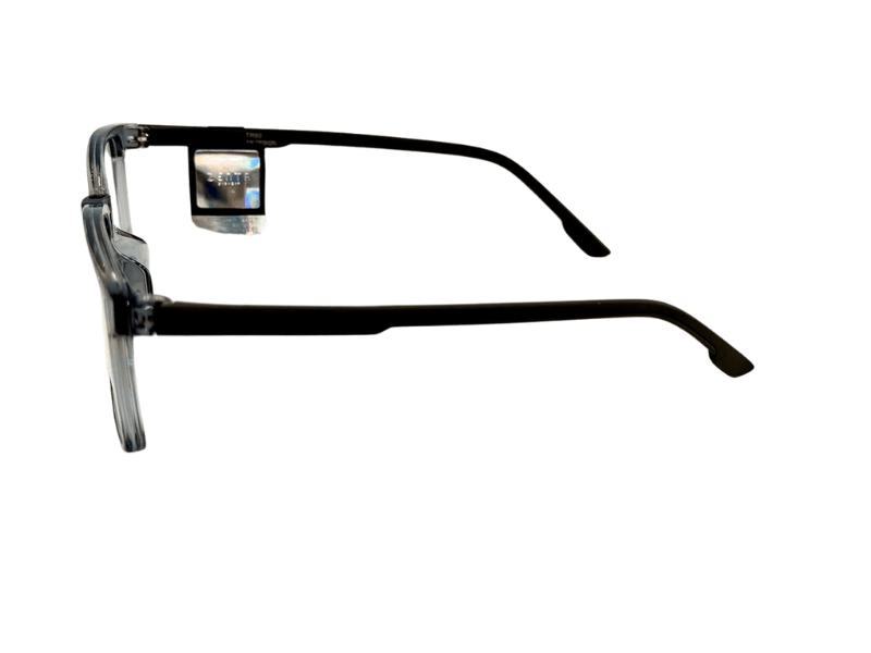 Gọng ZENTA DP25-A-ZT8009 C13H 55 chính hãng