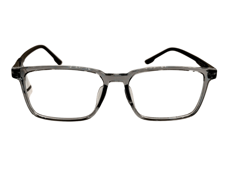 Gọng ZENTA DP25-A-ZT8009 C13H 55 chính hãng