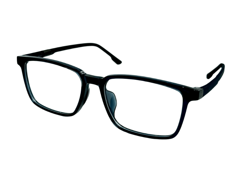 Gọng ZENTA DP25-A-ZT8012 55 C17H chính hãng