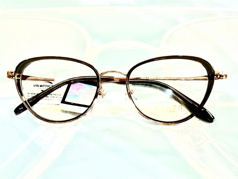 Gọng ZENTA DP25-A-ZT8019 C132A chính hãng