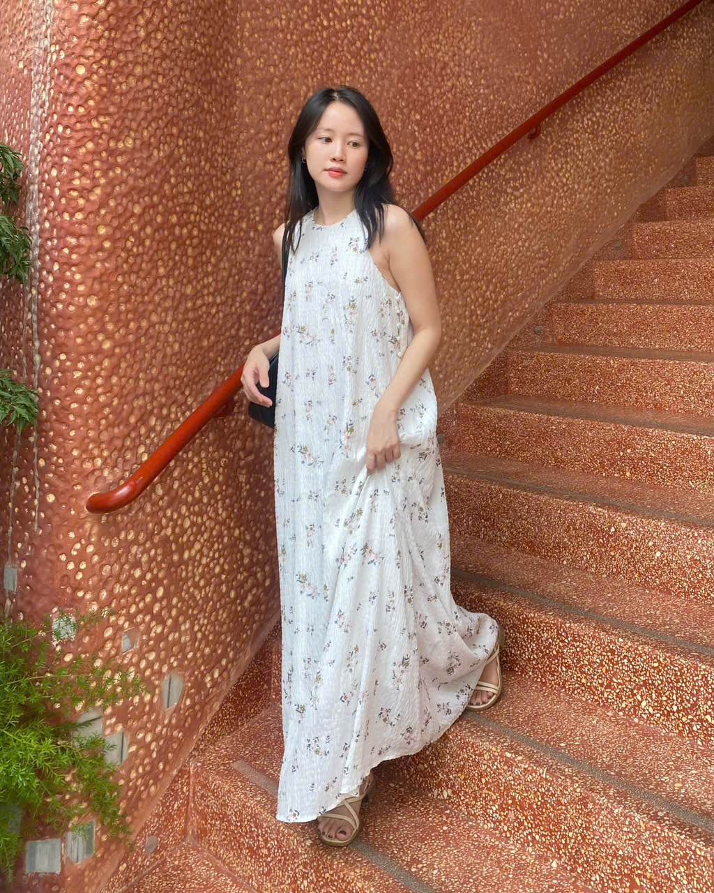 Sơn Trà
