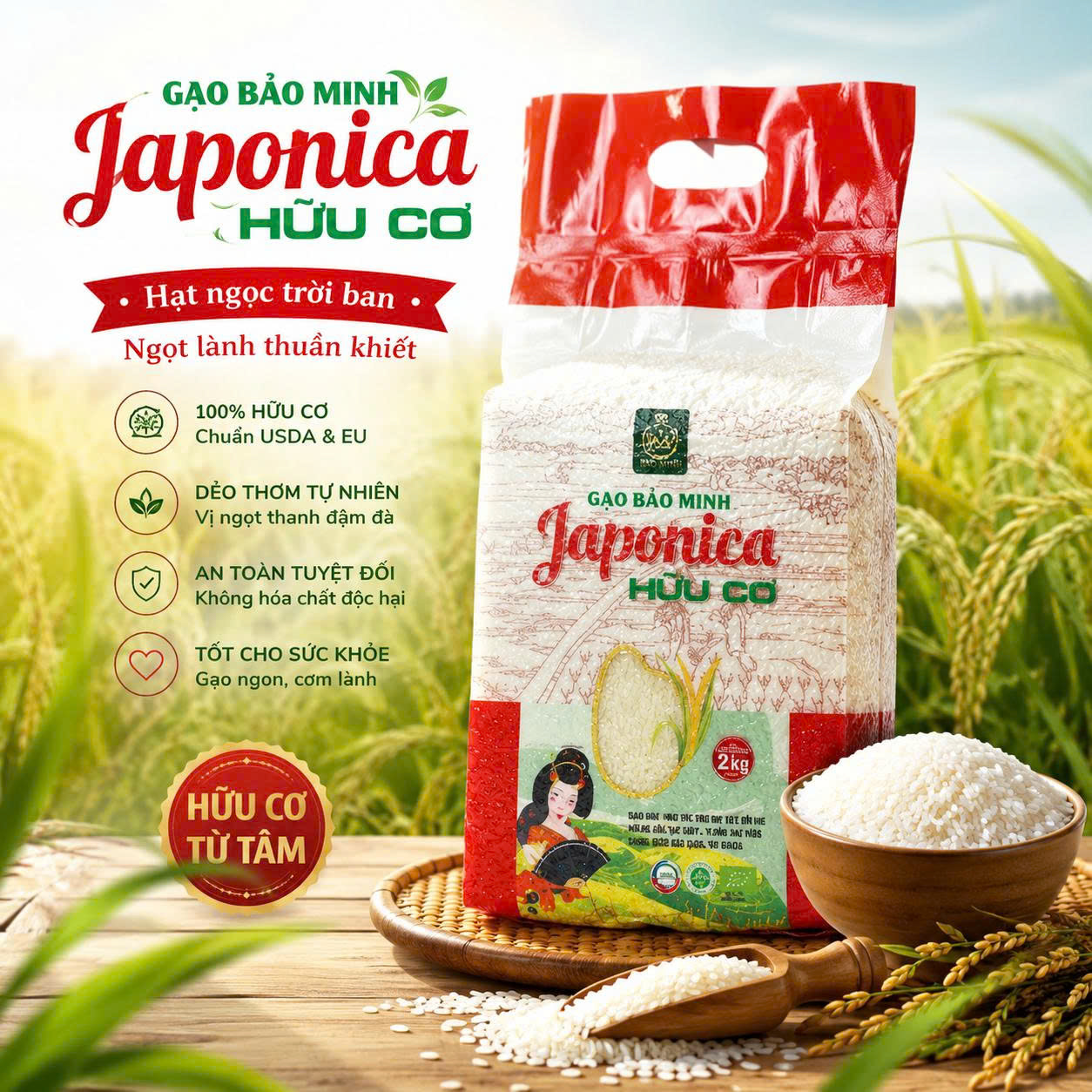 CÁCH PHÂN BIỆT GẠO JAPONICA CHUẨN HỮU CƠ USDA VÀ CAM KẾT 100% KHÔNG TRỘN TỪ BẢO MINH
