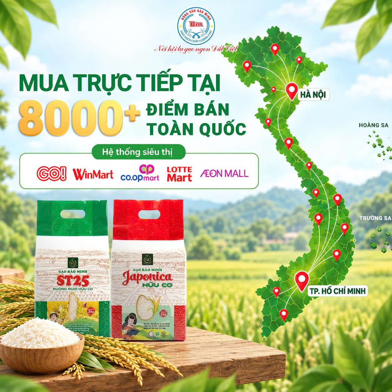 MUA GẠO BẢO MINH Ở ĐÂU? HƯỚNG DẪN CÁC KÊNH MUA GẠO CHÍNH HÃNG