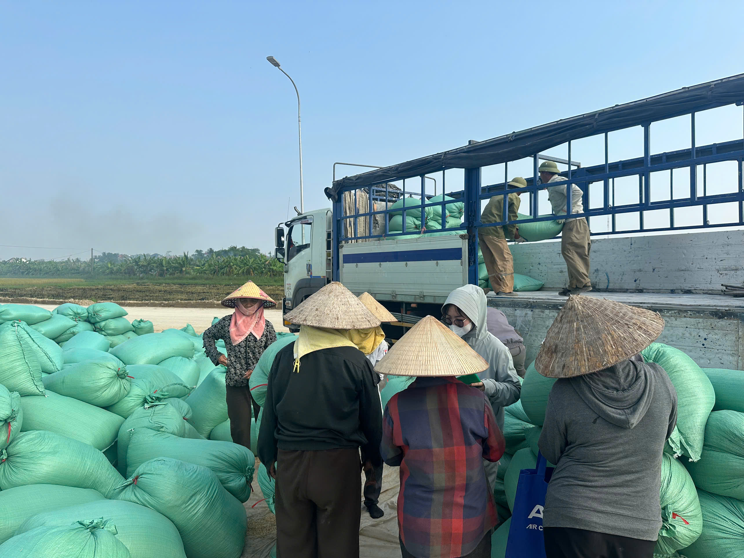 MÙA GẶT ST25 VỤ MÙA ĐẦU TIÊN TẠI VÙNG ĐẤT RƯƠI CHÍ MINH, MÓN QUÀ ĐẶC BIỆT TRONG THÁNG SINH NHẬT GẠO BẢO MINH
