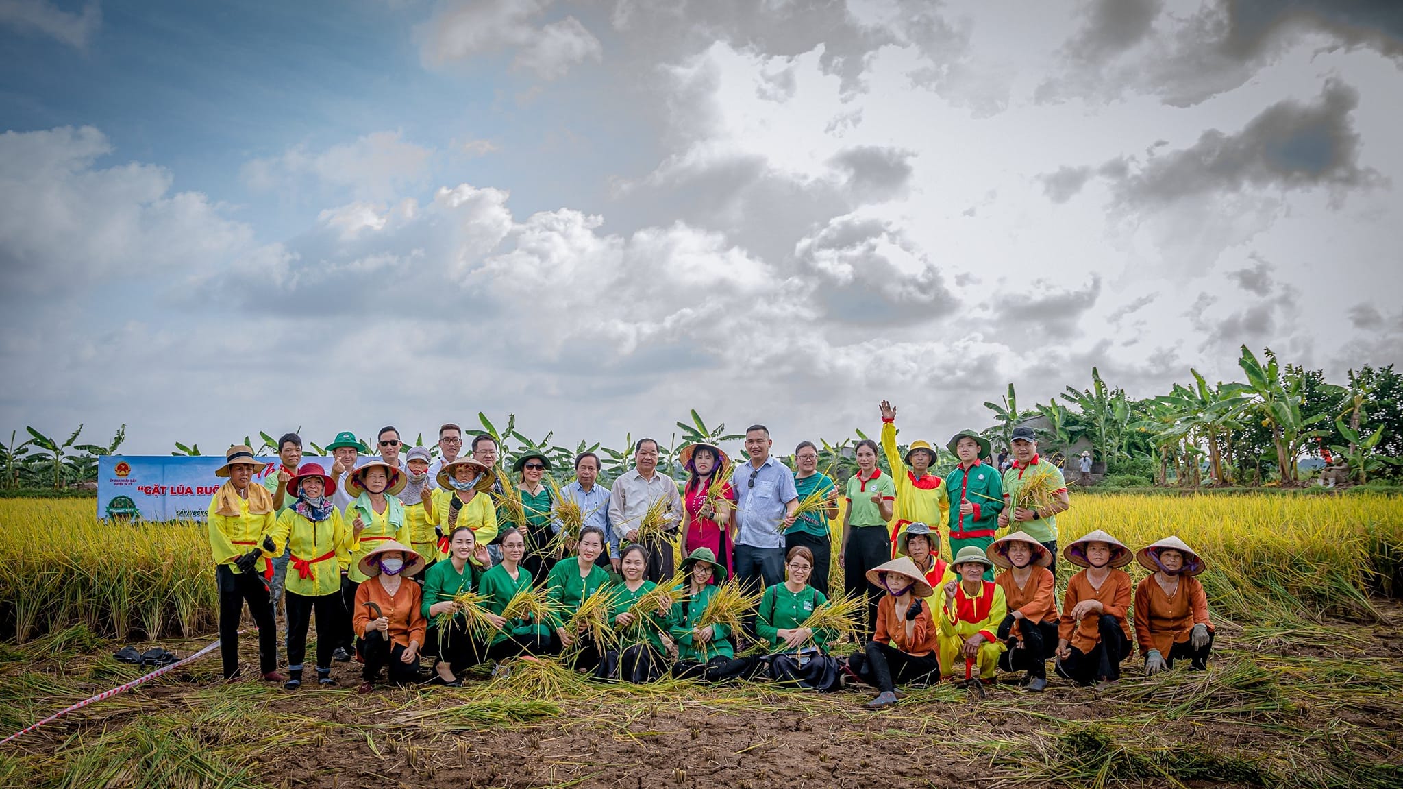 Vùng Nguyên Liệu Gạo Bảo Minh: Chất Lượng Từ Khắp Mọi Miền Đất Nước