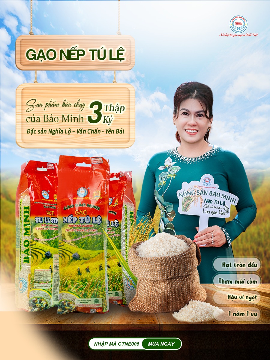 Nếp Tú Lệ Bảo Minh: Đặc Sản Thượng Hạng Bán Chạy Suốt 3 Thập Kỷ