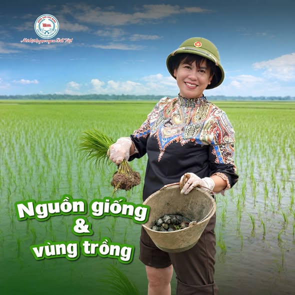 HÀNH TRÌNH ĐI TÌM BẢN SẮC CỦA HẠT NGỌC TRỜI: GẠO ĐẶC SẢN KHÁC GÌ GẠO THƯỜNG?