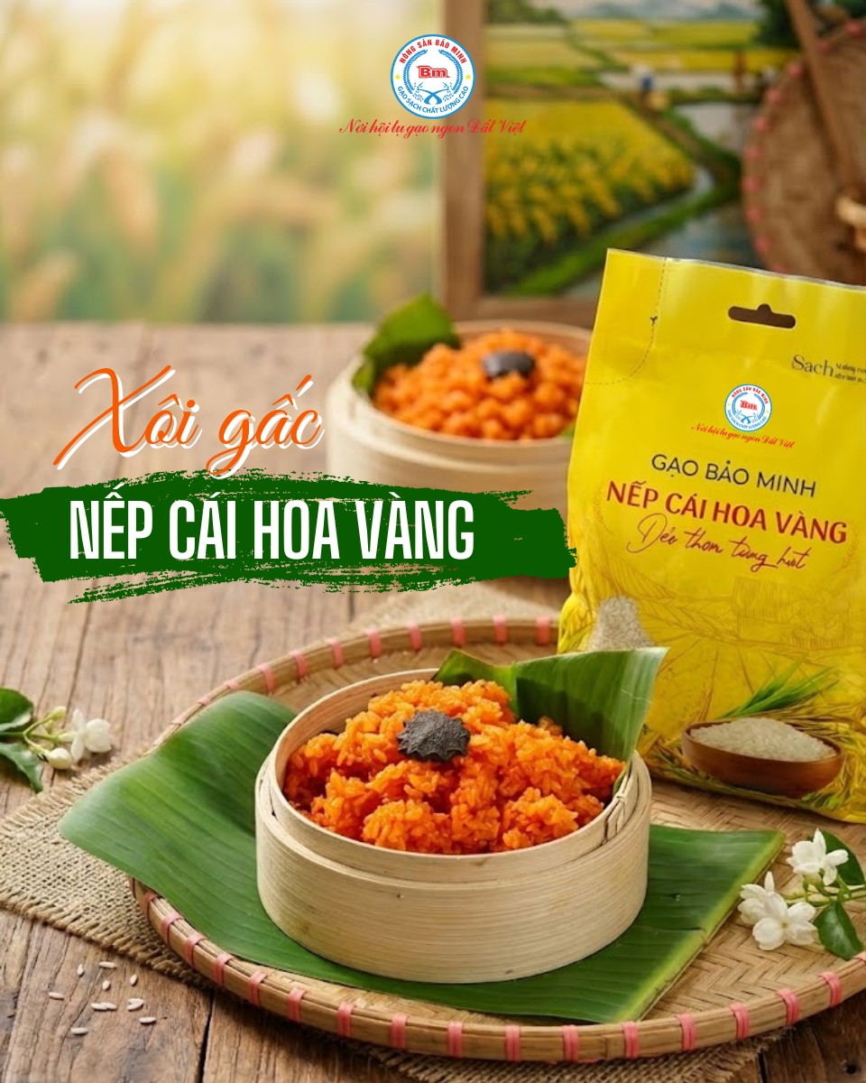 BÍ QUYẾT NẤU XÔI GẤC ĐỎ ÓNG, DẺO THƠM CHO NGÀY MÙNG 1 MAY MẮN, TÀI LỘC