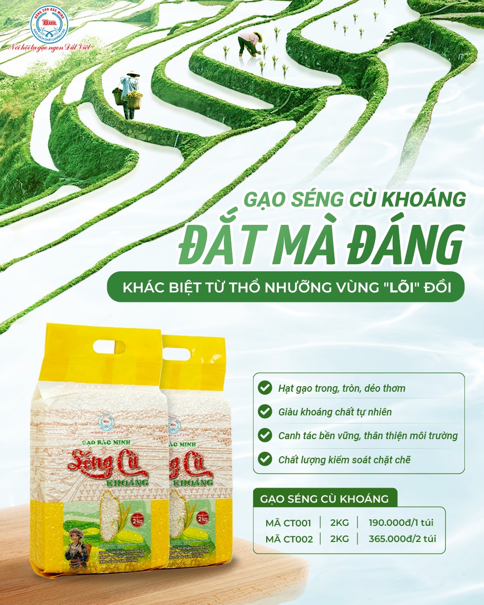 GẠO SÉNG CÙ KHOÁNG: TẠI SAO LẠI ĐƯỢC MỆNH DANH LÀ 