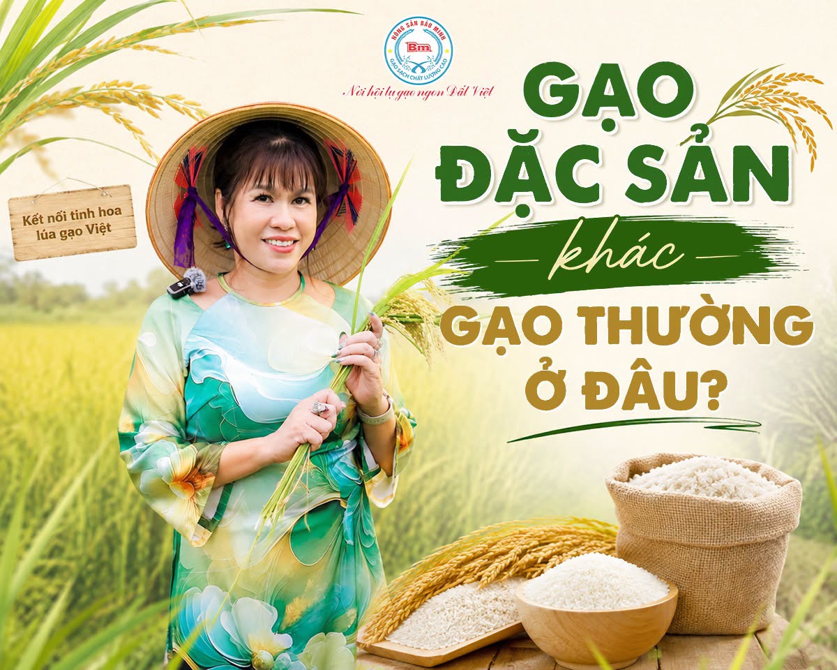 GẠO ĐẶC SẢN KHÁC GẠO THƯỜNG Ở ĐÂU? BÍ MẬT ĐẰNG SAU HẠT NGỌC TRỜI CHUẨN VỊ