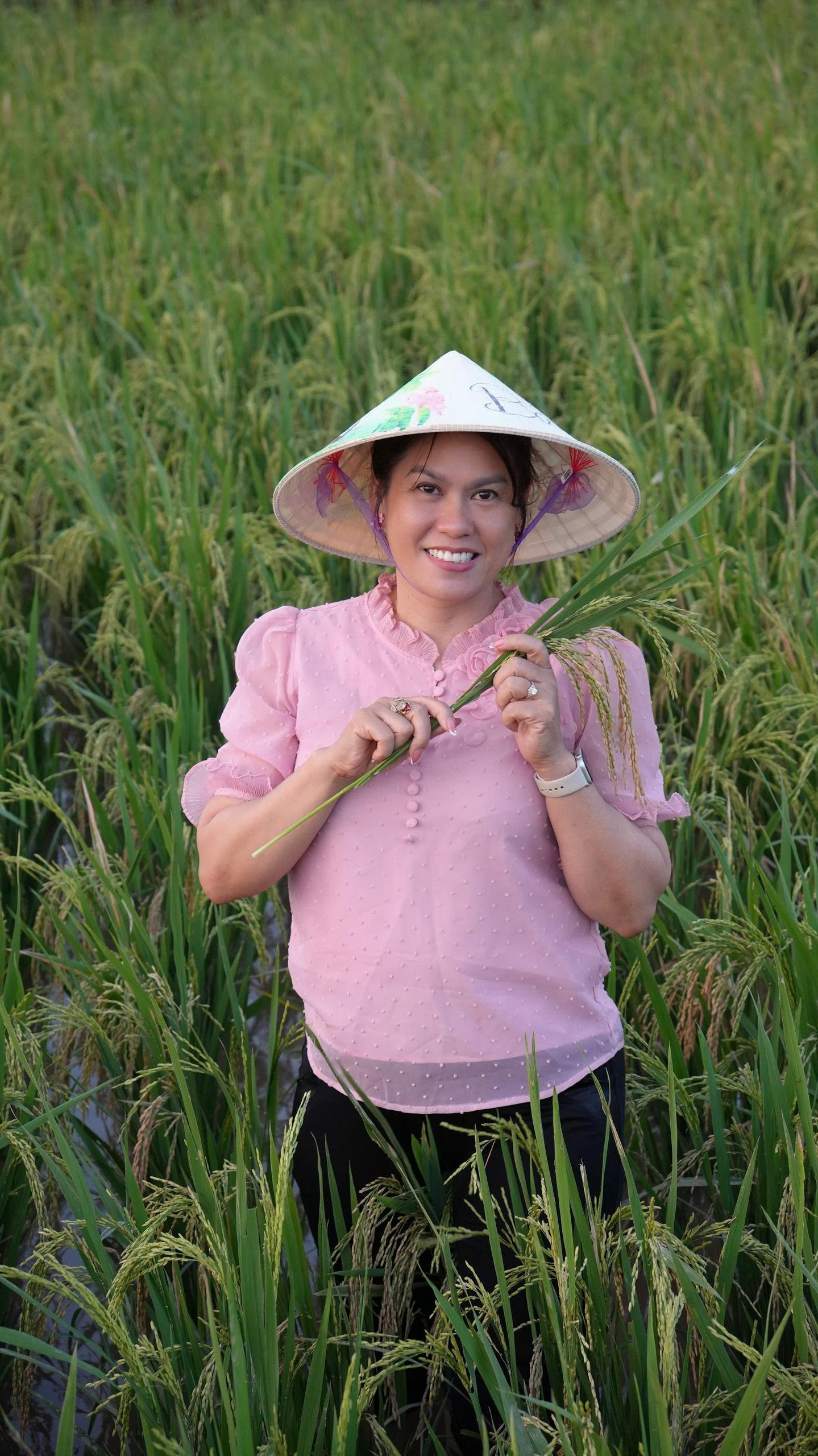 HẠT GẠO VÀ VĂN HÓA LÚA NƯỚC VIỆT NAM: HÀNH TRÌNH 30 NĂM GIỮ LỬA TINH HOA CỦA 