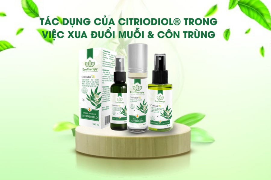 Tác dụng của Citriodiol® trong việc xua đuổi muỗi & côn trùng: Giải pháp an toàn từ thiên nhiên