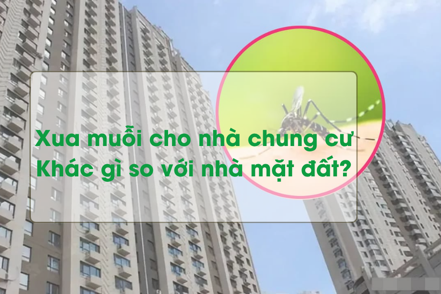 Xua muỗi cho nhà chung cư: Khác gì so với nhà mặt đất?