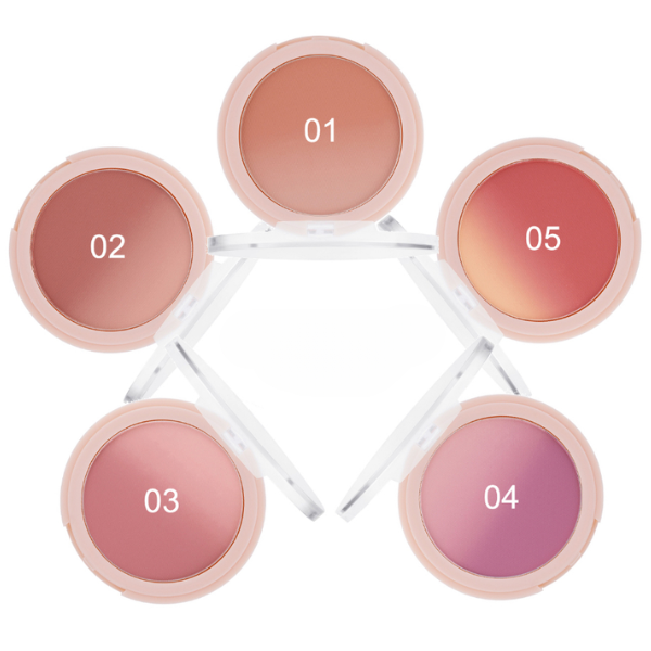 Phấn má Odbo Ombre Smooth Blusher OD1307