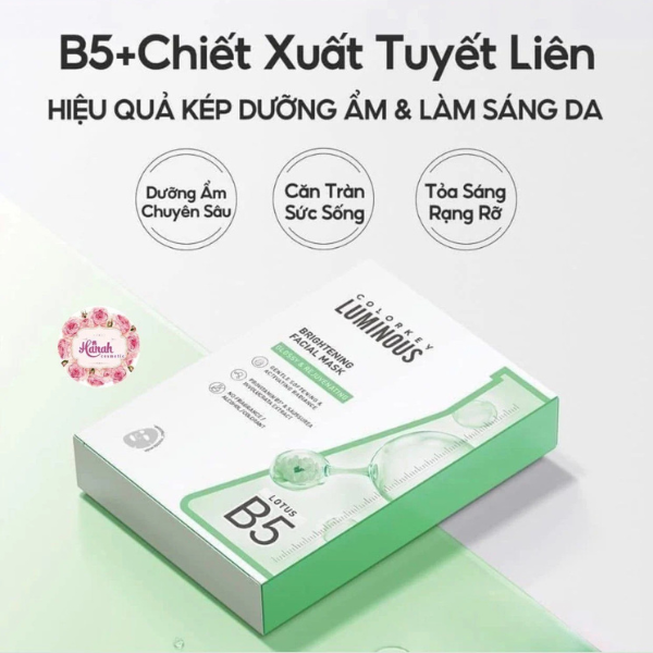 Mặt Nạ Colorkey Luminous B5 Facial Mask